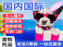 启阳机场托运国际宠物托运 【国